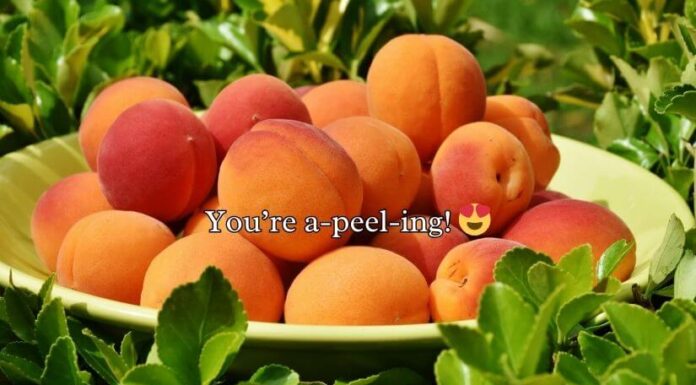 Funny Peach Puns Funny Peach Puns