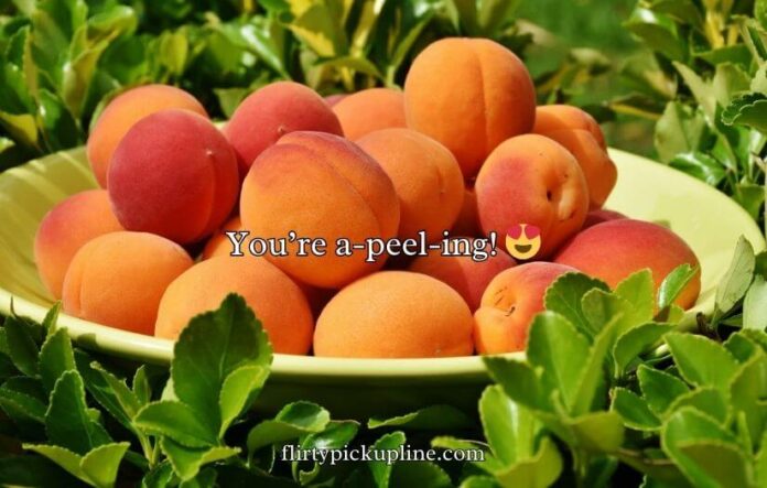 Funny Peach Puns