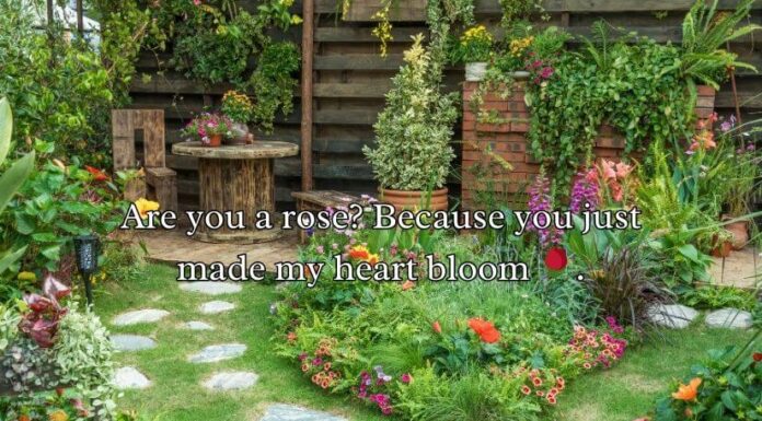 Garden Pick Up Lines Garden Pick Up Lines
