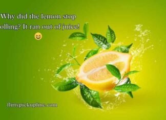 Lemon Puns Lemon Puns