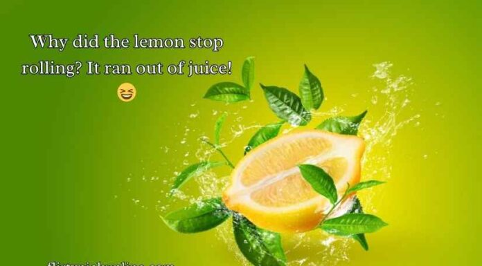Lemon Puns Lemon Puns