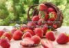Strawberry Pick Up Lines Strawberry Pick Up Lines