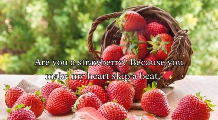 Strawberry Pick Up Lines Strawberry Pick Up Lines