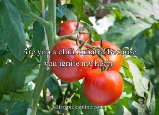 Tomato Pick Up Lines Tomato Pick Up Lines