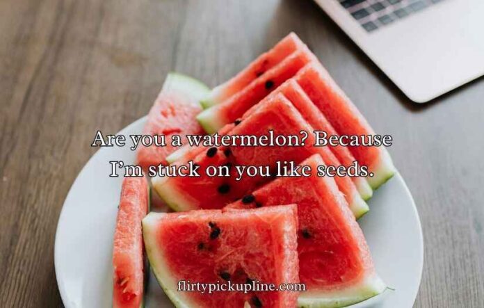 Watermelon Pick Up Lines