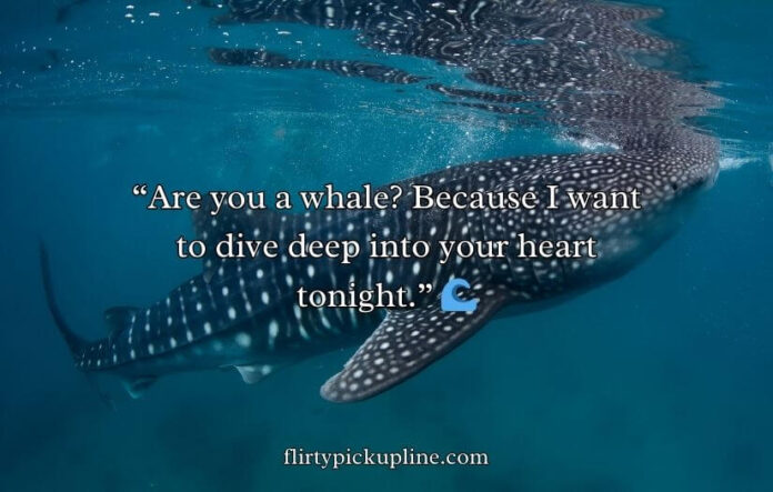 Whale Rizz Lines Whale Rizz Lines