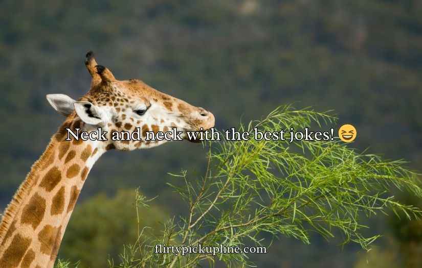 Giraffe Puns