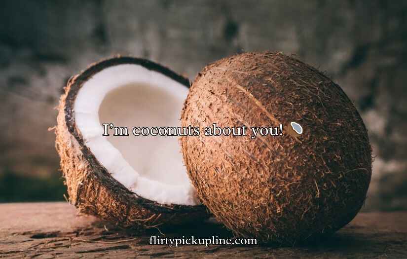 Coconut Puns And Jokes