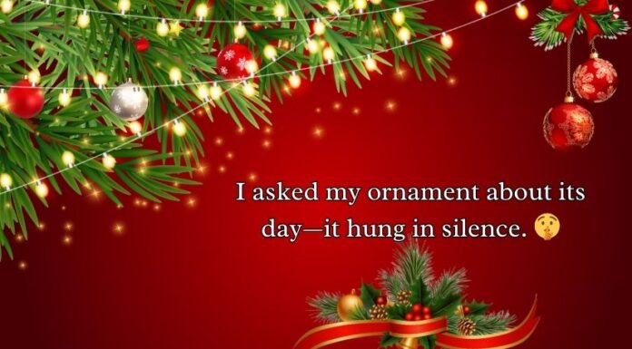 Ornament Puns and Jokes Ornament Puns and Jokes