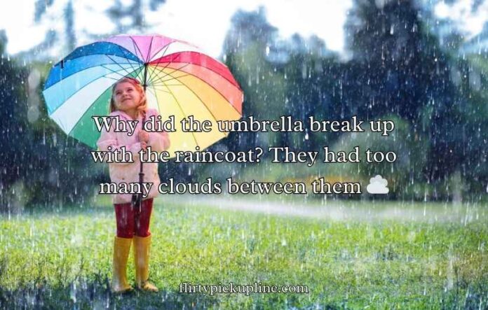 Umbrella Puns and Jokes