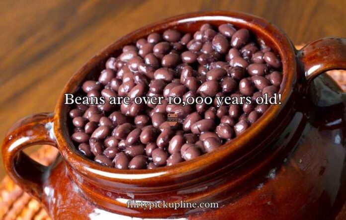 Bean Puns