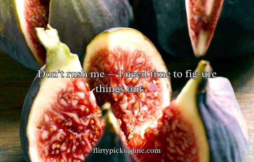 Fig Puns and Jokes
