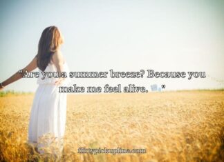 Hot Weather Pick Up Lines Hot Weather Pick Up Lines