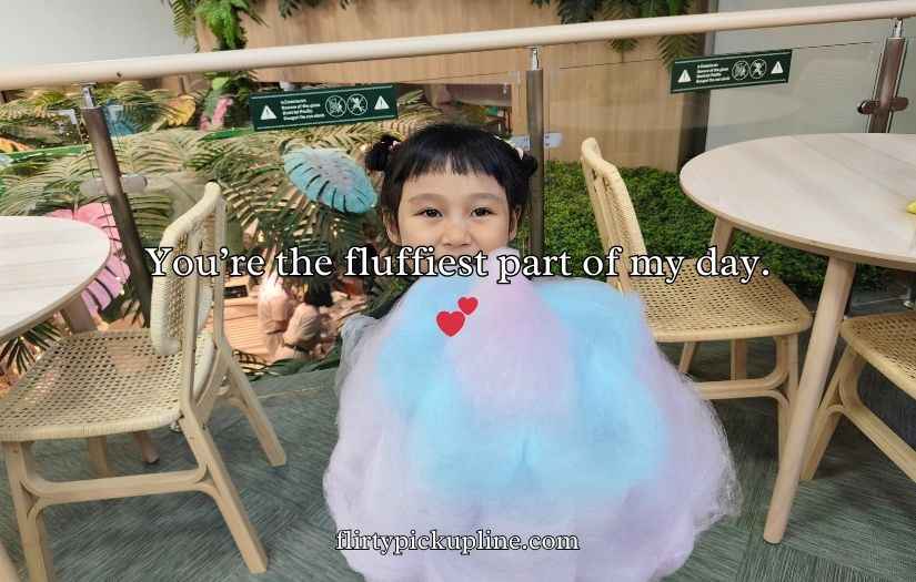 Cotton Candy Puns and Jokes