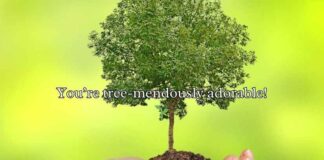 Tree Puns and Jokes Tree Puns and Jokes