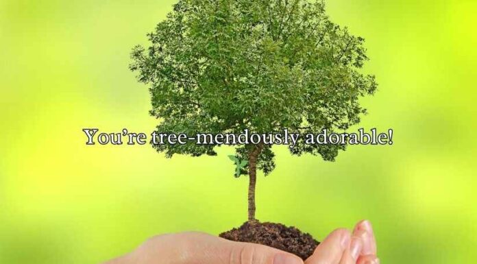 Tree Puns and Jokes Tree Puns and Jokes