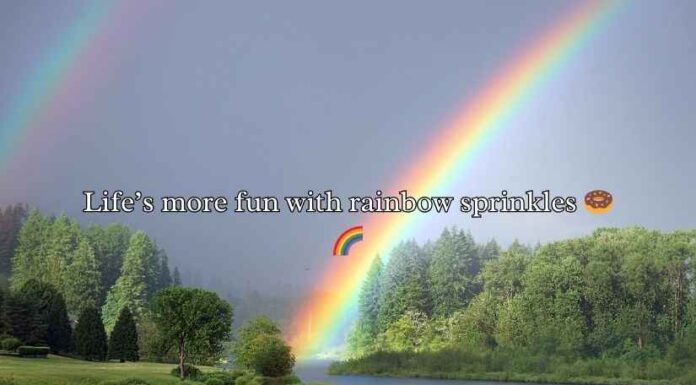 Rainbow Puns Rainbow Puns