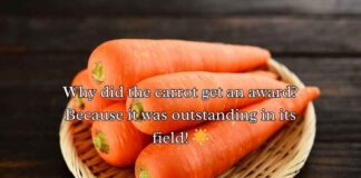 Carrot Puns Carrot Puns