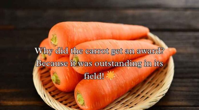 Carrot Puns Carrot Puns