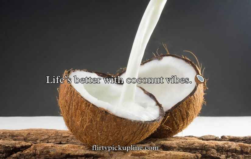 Coconut Puns And Jokes