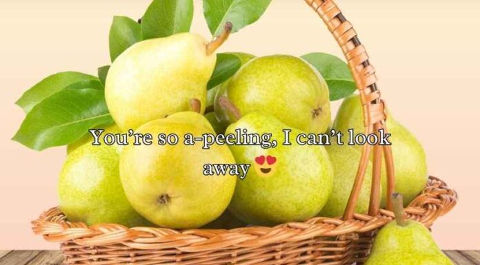 Pear Puns Pear Puns