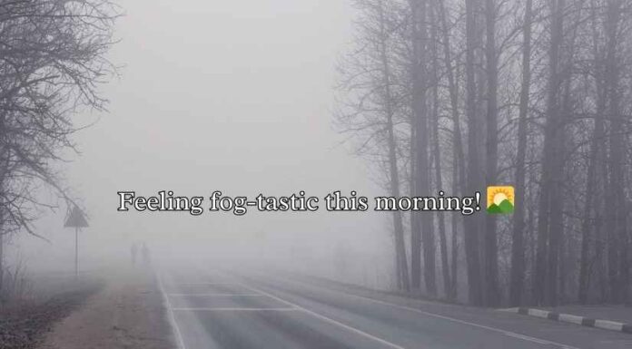 Fog Puns Fog Puns