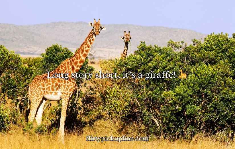 Giraffe Puns