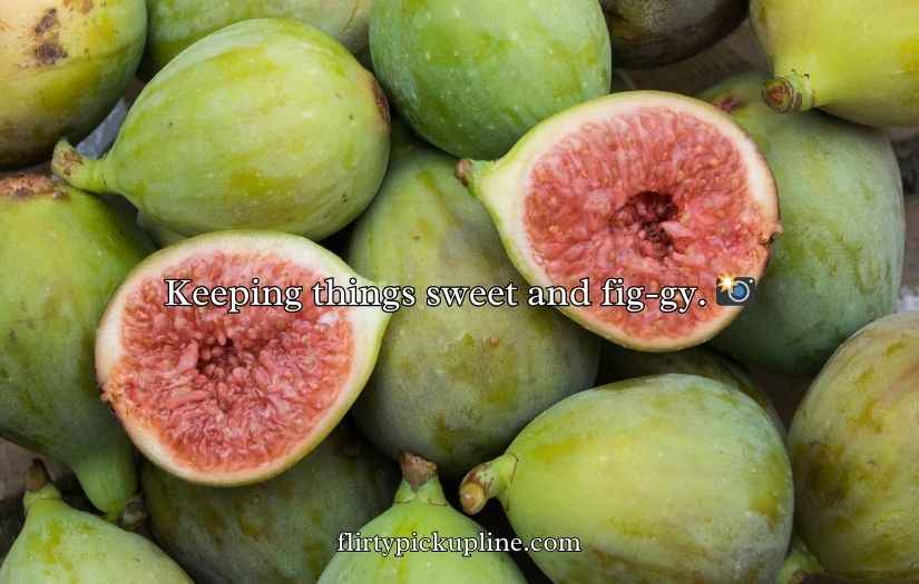 Fig Puns and Jokes