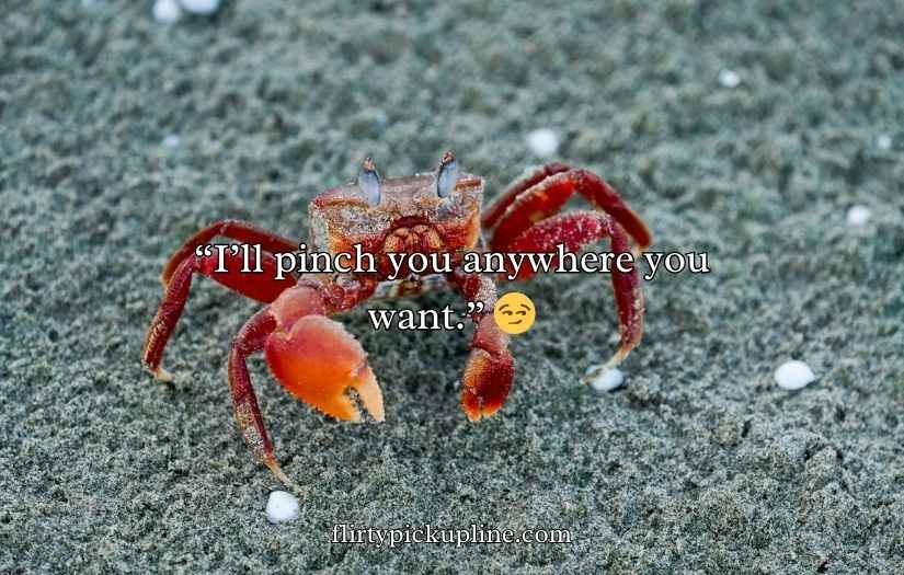 Crab Puns