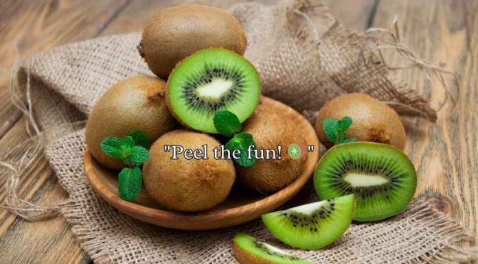 Kiwi Puns And Jokes Kiwi Puns And Jokes