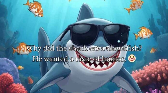 Shark Puns and Jokes Shark Puns and Jokes