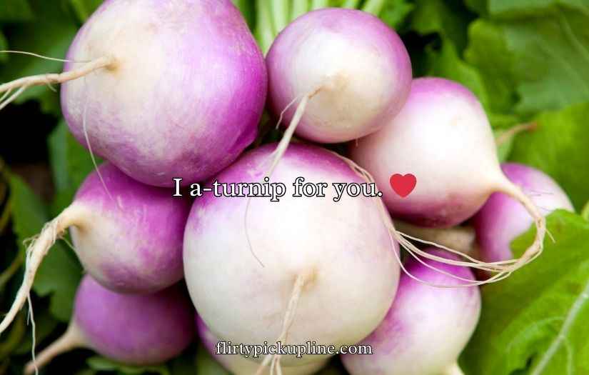 Turnip Puns and Jokes