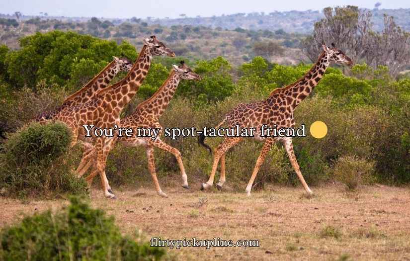 Giraffe Puns