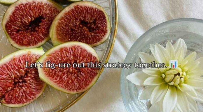 Fig Puns and Jokes Fig Puns and Jokes