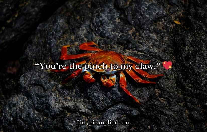 Crab Puns