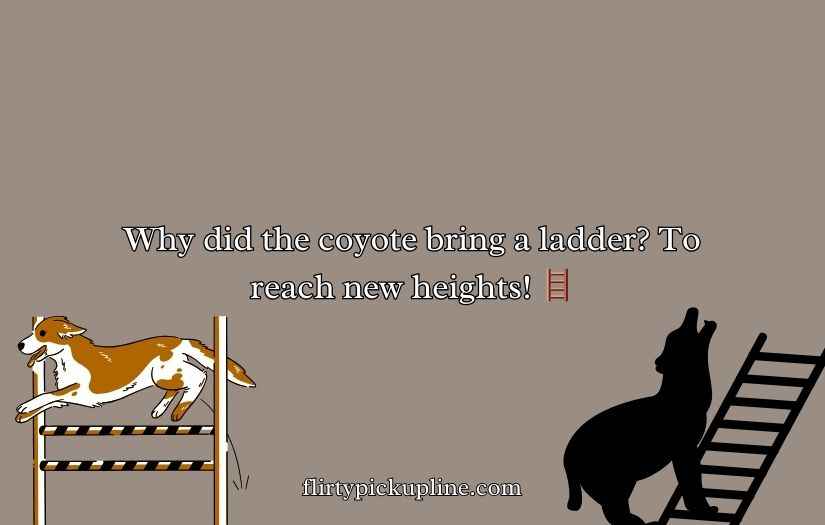 Funny Coyote Puns & Jokes One Liner