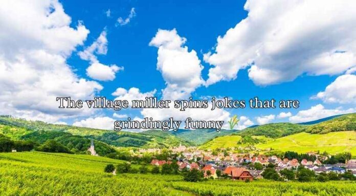 Village Puns Village Puns