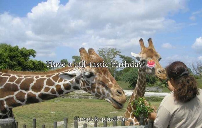 Giraffe Puns Giraffe Puns