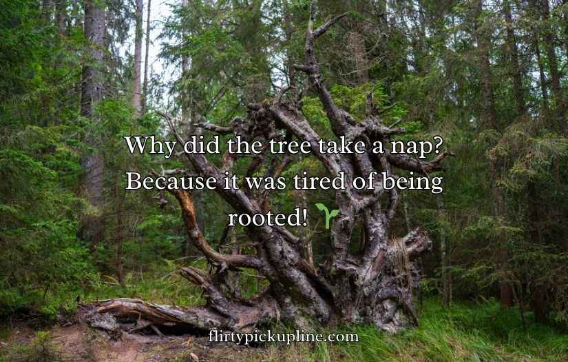 Tree Puns and Jokes