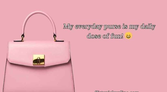 Purse Puns and Jokes Purse Puns and Jokes