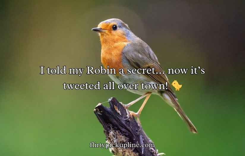 Robin Puns