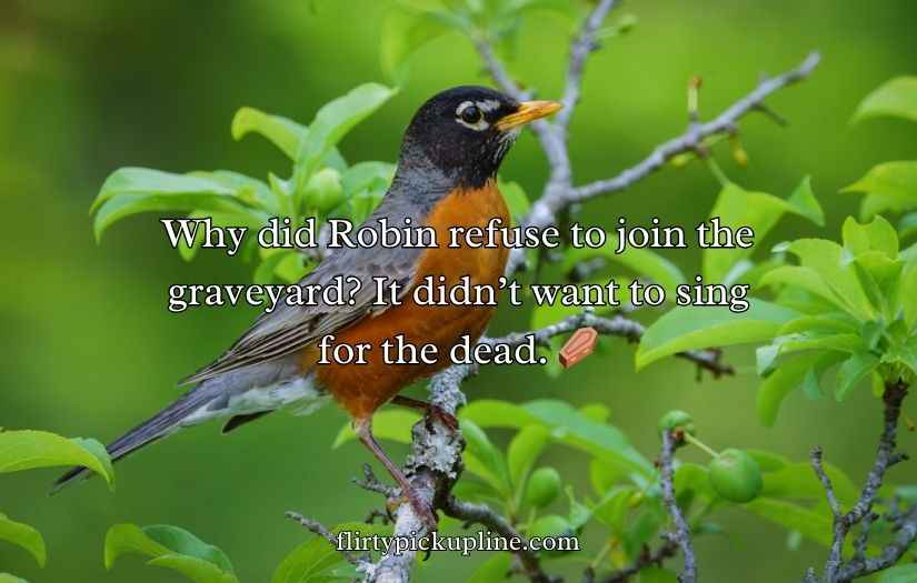 Robin Puns