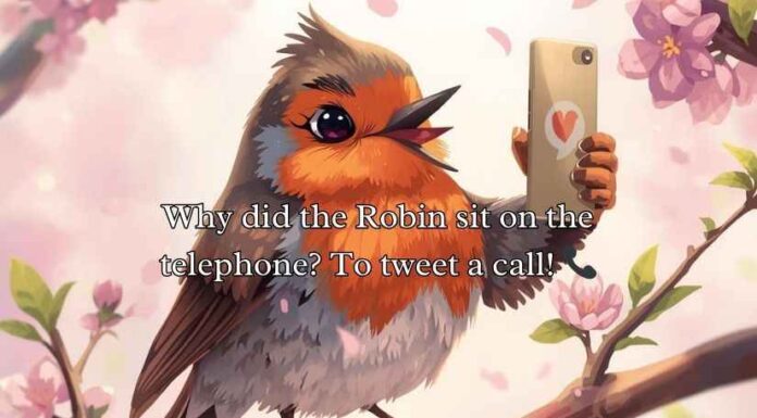 Robin Puns Robin Puns