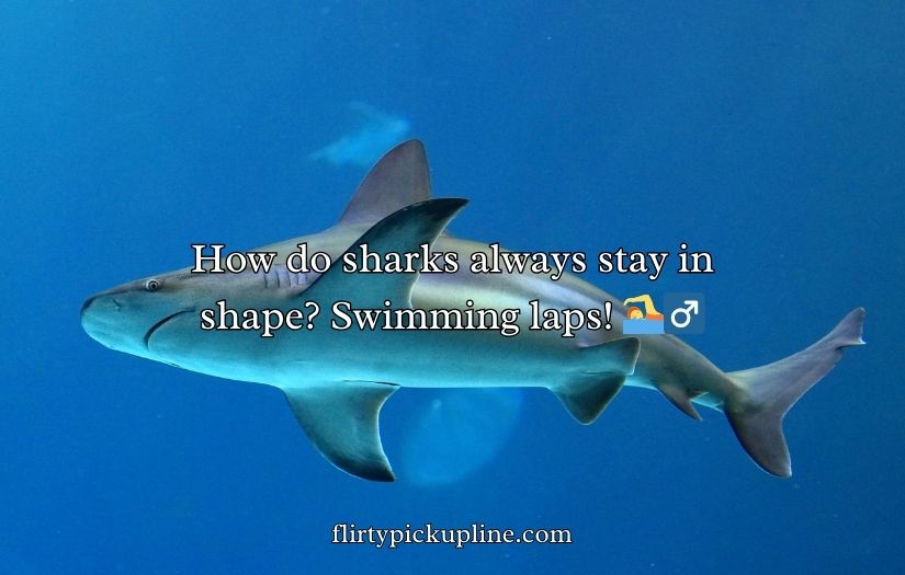 Shark Puns and Jokes