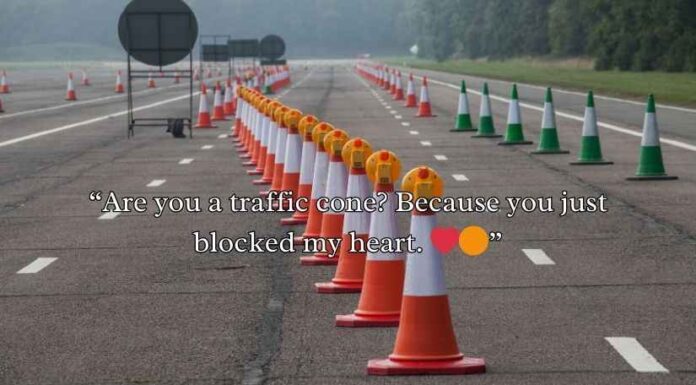 Traffic Cone Puns Traffic Cone Puns