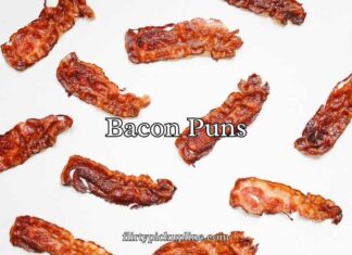 Bacon Puns Bacon Puns