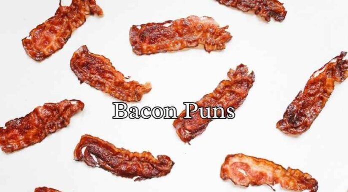 Bacon Puns Bacon Puns