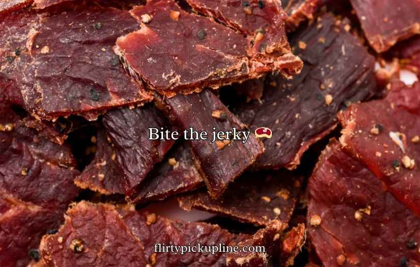 Beef Jerky Puns