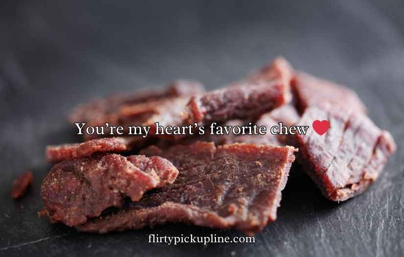 Beef Jerky Puns