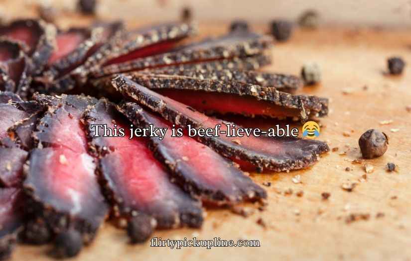 Beef Jerky Puns
